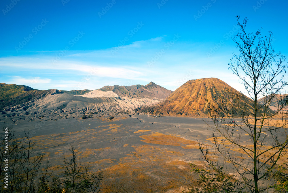 Mount Bromo volcanic plateau, Java, Indonesia