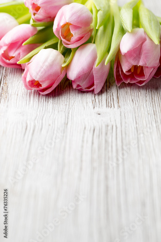 Fototapeta Naklejka Na Ścianę i Meble -  Tulip.