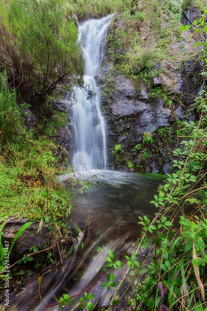 Forest waterfall in Monchique Algarve. Chilrao, Portugal. Forest waterfall in Monchique Algarve. Chilrao, Portugal.