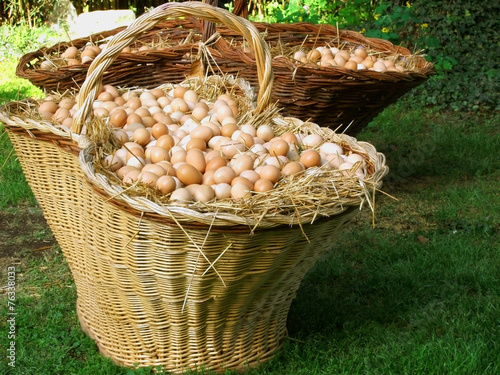 Foto big basket with eggs