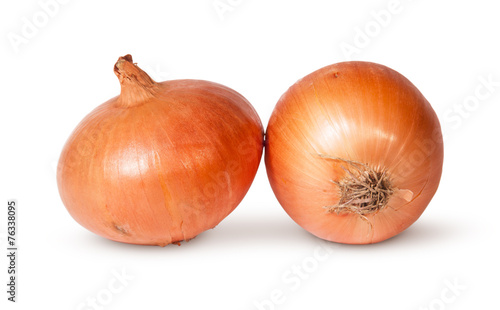 Two Fresh Golden Onions