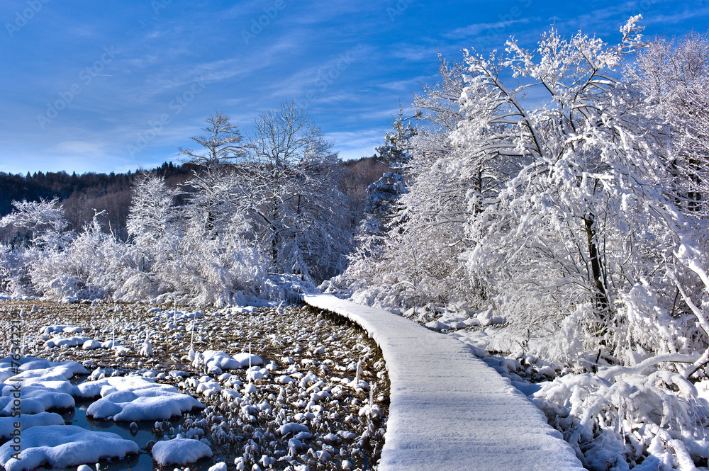 Fototapeta premium Road to Winter Wonderland