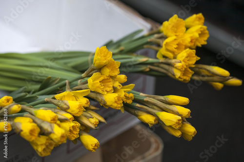 Fototapeta Naklejka Na Ścianę i Meble -  lose up bunch of yellow daffodils on the dispaly for sale