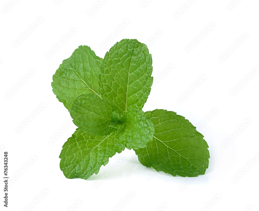 mint leaves isolated on white background mint leaves isolated on white background
