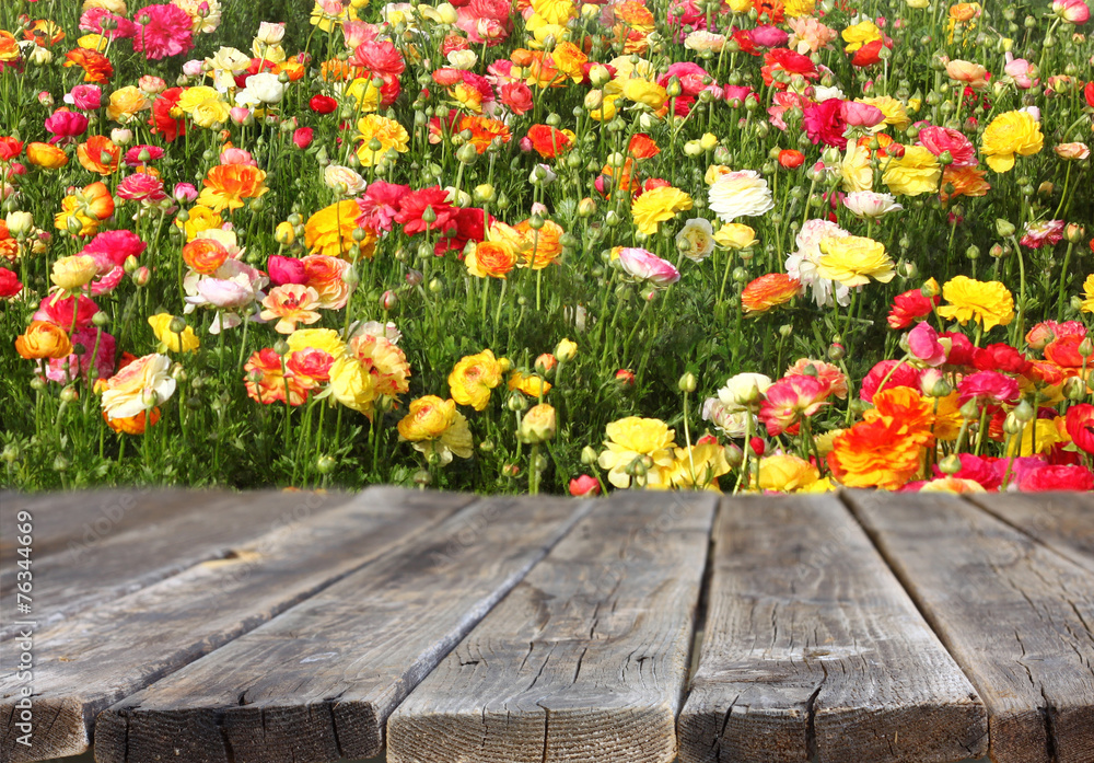 wood board table in front of summer landscape of field with many wood board table in front of summer landscape of field with many