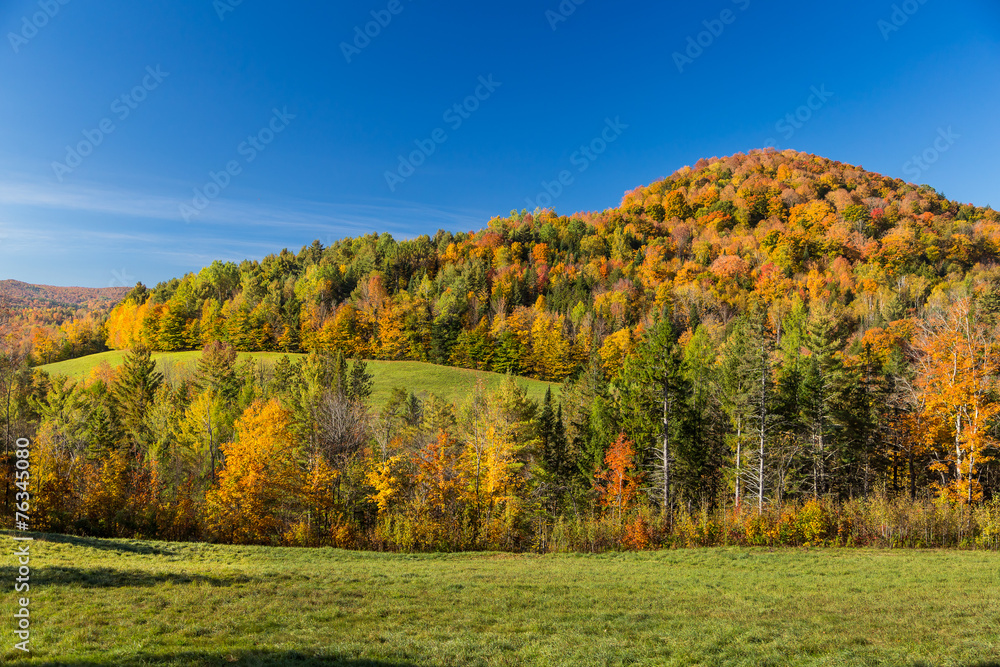 Autumn foliage in Vermont countryside Autumn foliage in Vermont countryside
