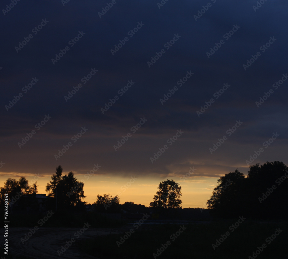Fototapeta premium Summer landscape