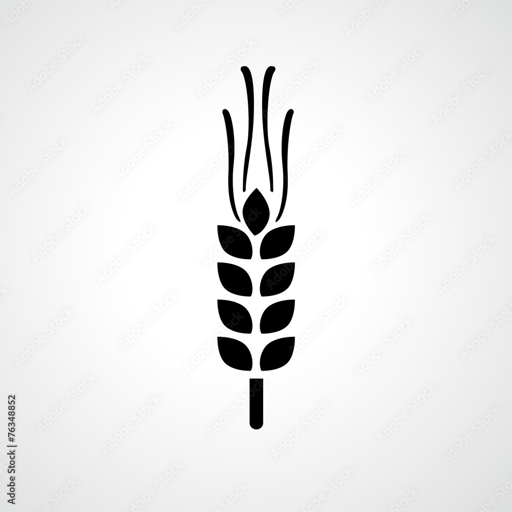 Wheat icon vector Wheat icon vector