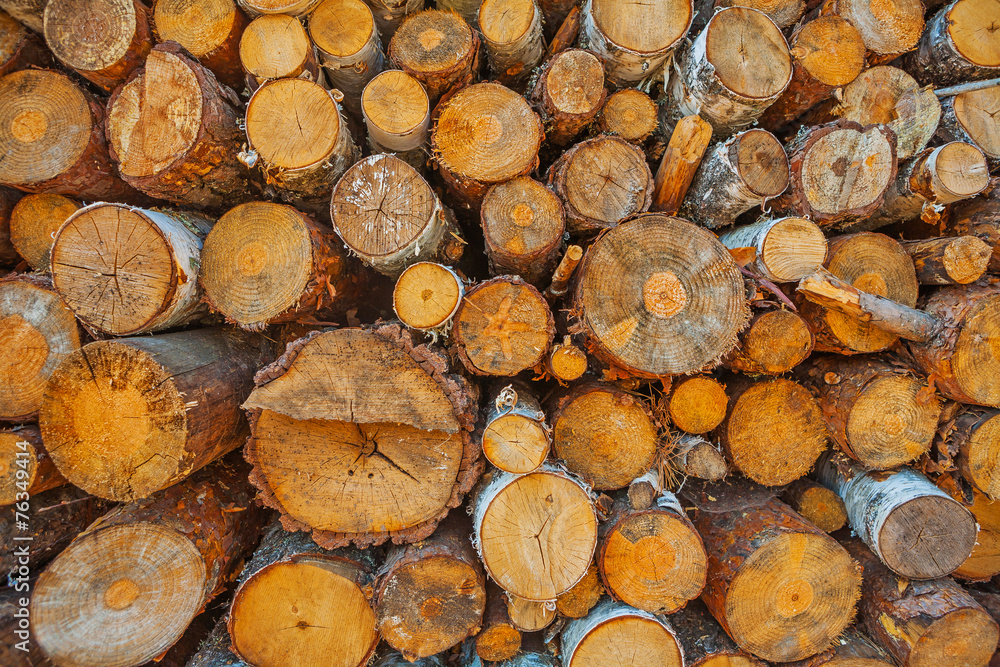 close up view on woods pile
