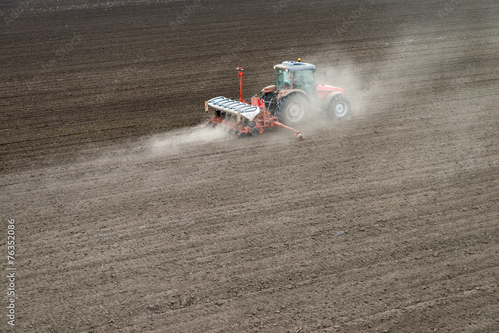 Obraz premium sowing crops at field