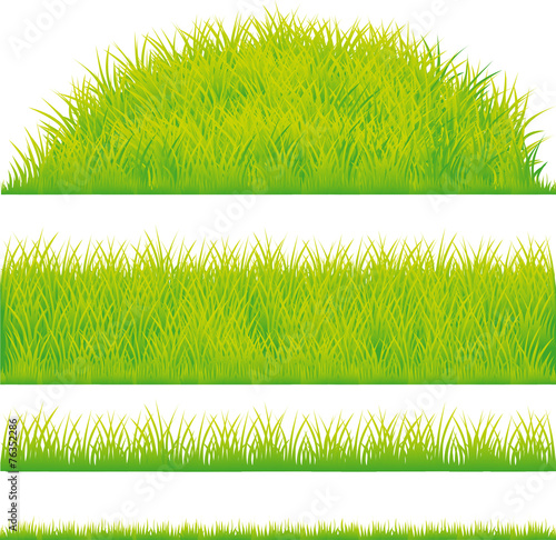 green grass design element - vector illustration