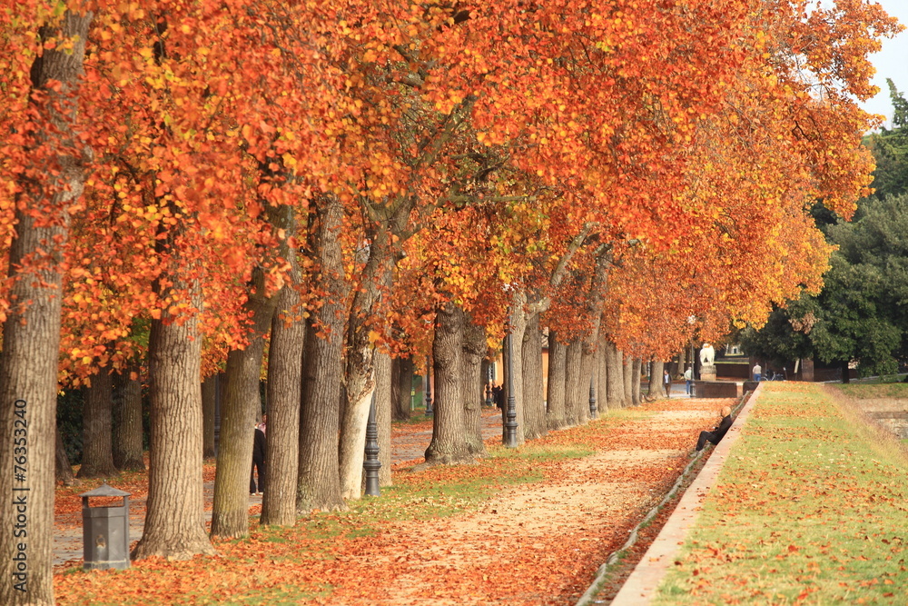 Naklejka premium Toscana,Lucca passeggiata lungo le Mura.