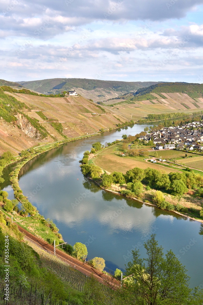 Obraz premium Moseltal im Frühling