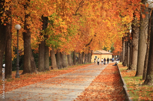 Toscana,Lucca in autunno. photo