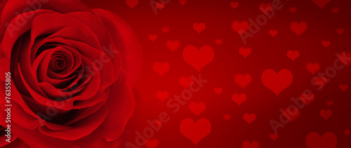 HIntergrund mit Rose und Herzen © Coloures-Pic