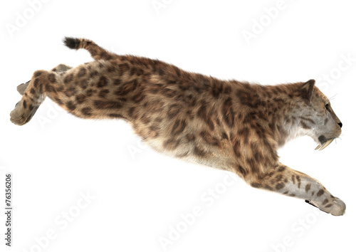 Fototapeta Naklejka Na Ścianę i Meble -  Big Cat Smilodon