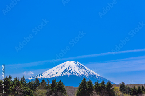 The green forest and Mount Fuji under the blue sky