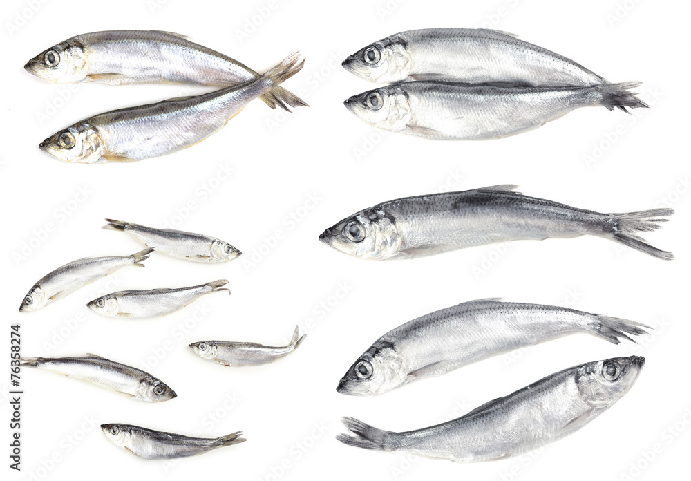 Collage of fresh fishes, isolated on white Collage of fresh fishes, isolated on white