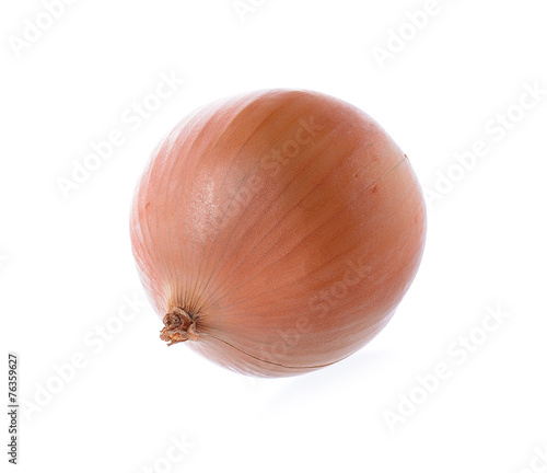Onion on white