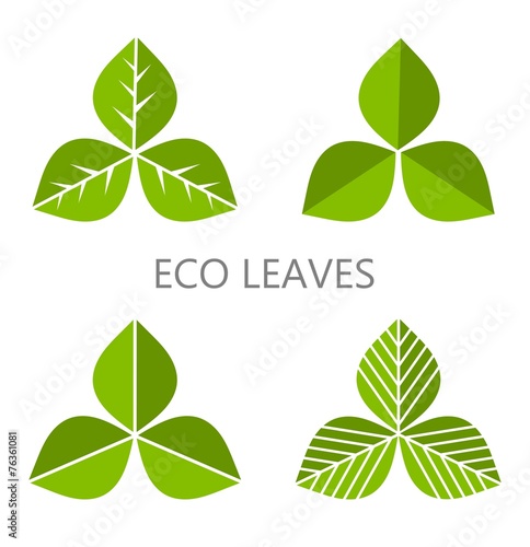 Eco leaves
