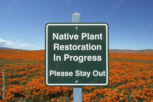 Native Plant Restoration Si...