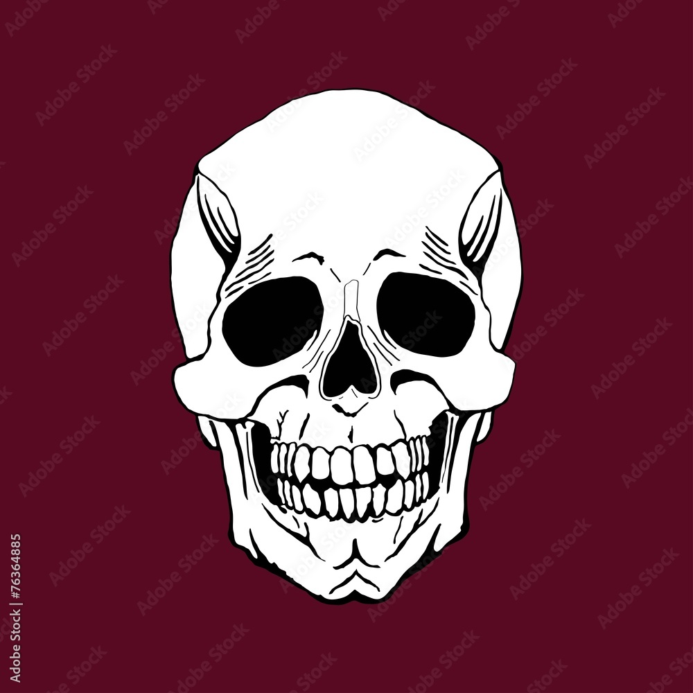 Fototapeta premium Skull