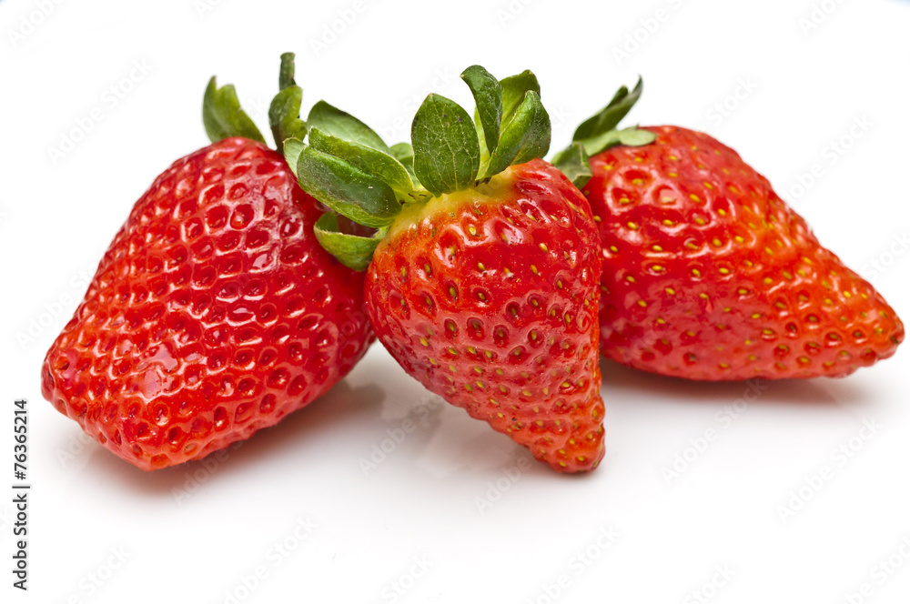 custom made wallpaper toronto digitalErdbeeren