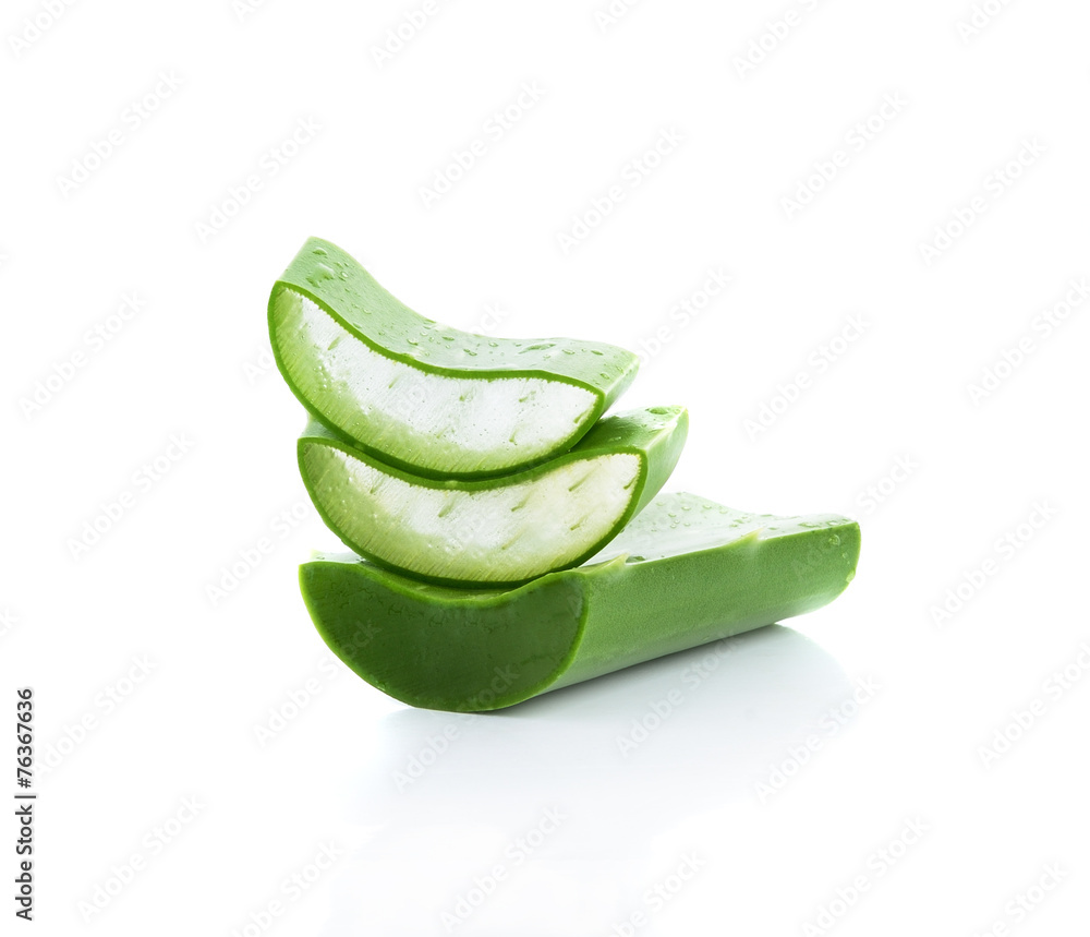 aloe vera fresh leaf. isolated over white background aloe vera fresh leaf. isolated over white background