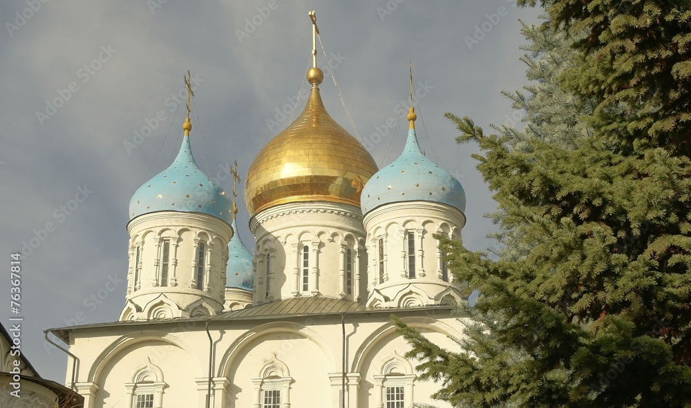 Domes of the Cathedral of the Transfiguration of the Savior