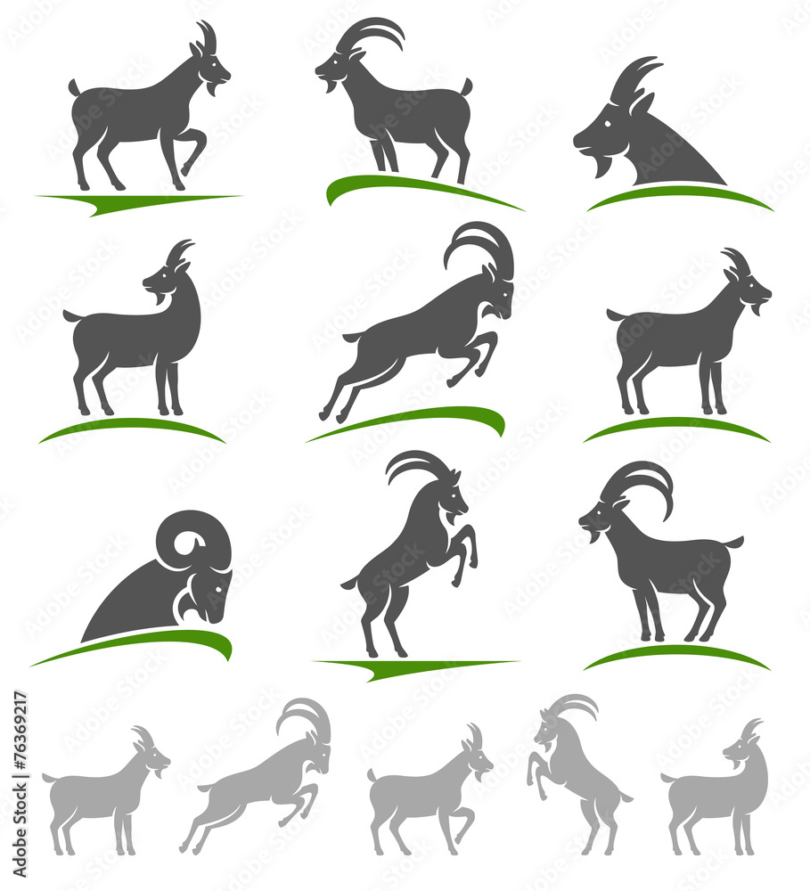 Goat set. Vector Goat set. Vector