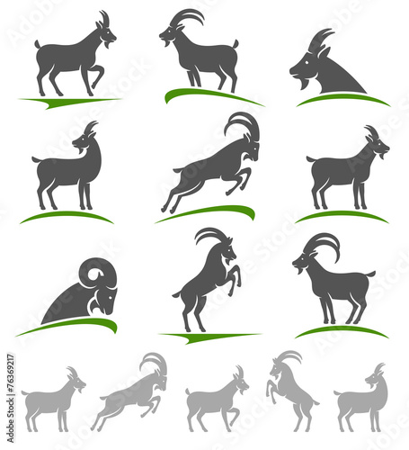 Goat set. Vector © VKA