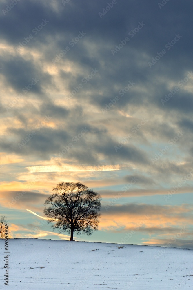 Abendstimmung im Winter