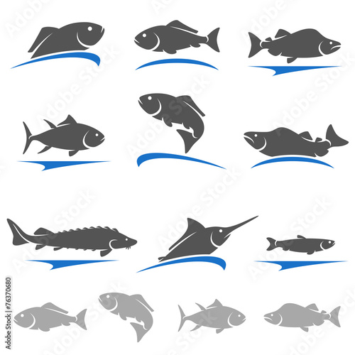 Fish set. Vector