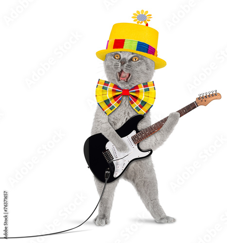 Fototapeta Naklejka Na Ścianę i Meble -  funny guitar cat