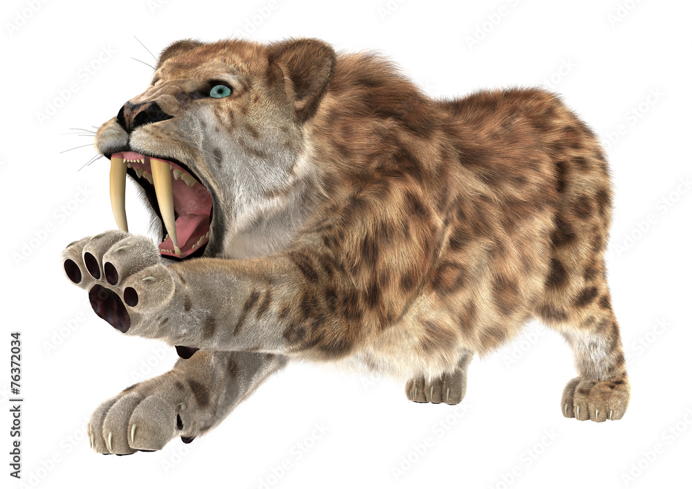 Big Cat Smilodon