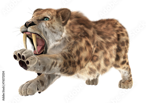 Obraz na płótnie Big Cat Smilodon w salonie