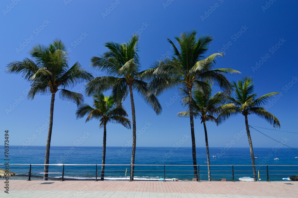 Obraz premium Playa con palmeras