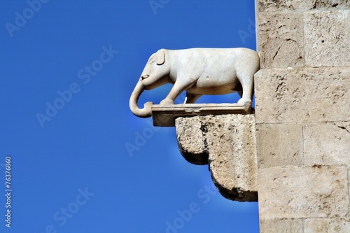 Statua dell'elefante a Cagliari photo