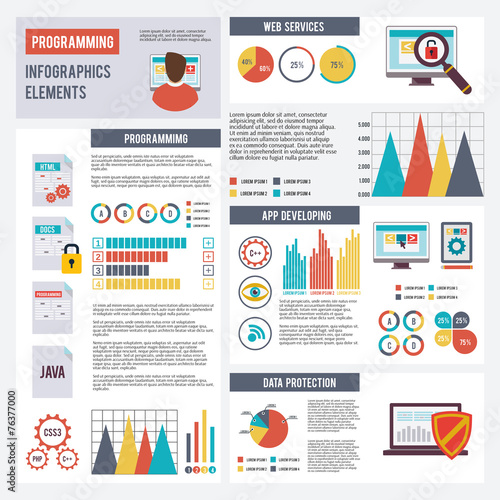 Programmer Infographics Set