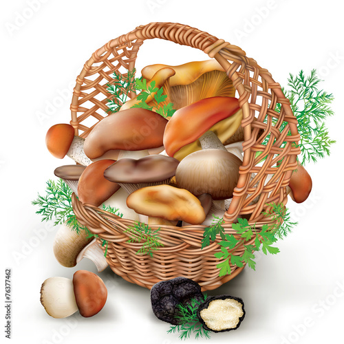 mushrooms in a wicker basket