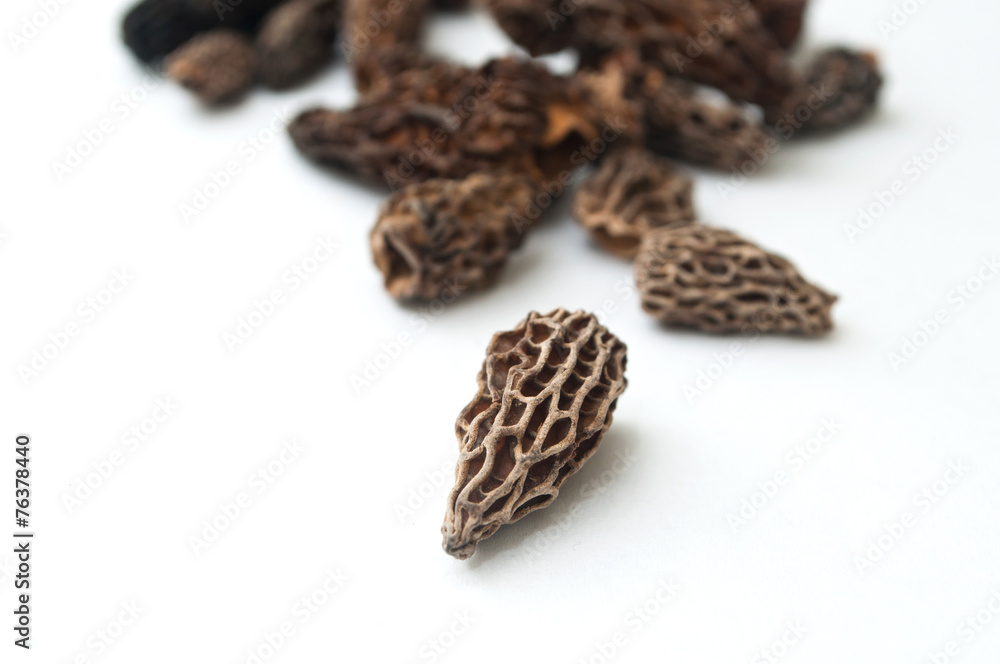 Obraz premium morilles séchées