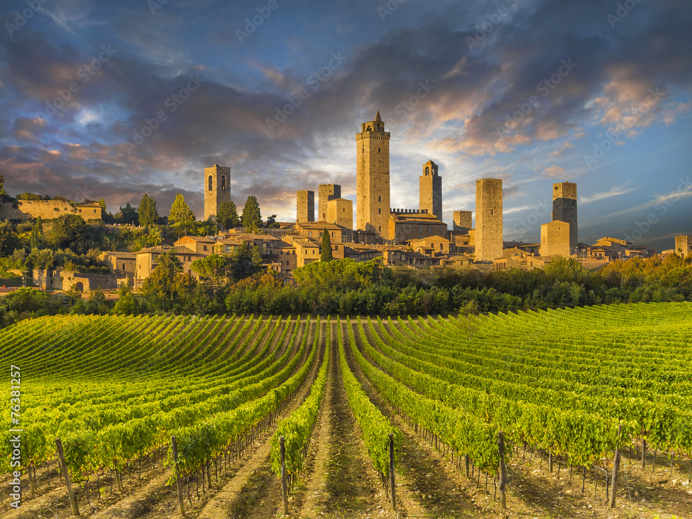 Vineyards of San Gimignano, Tuscany, Italy - obrazy, fototapety, plakaty 