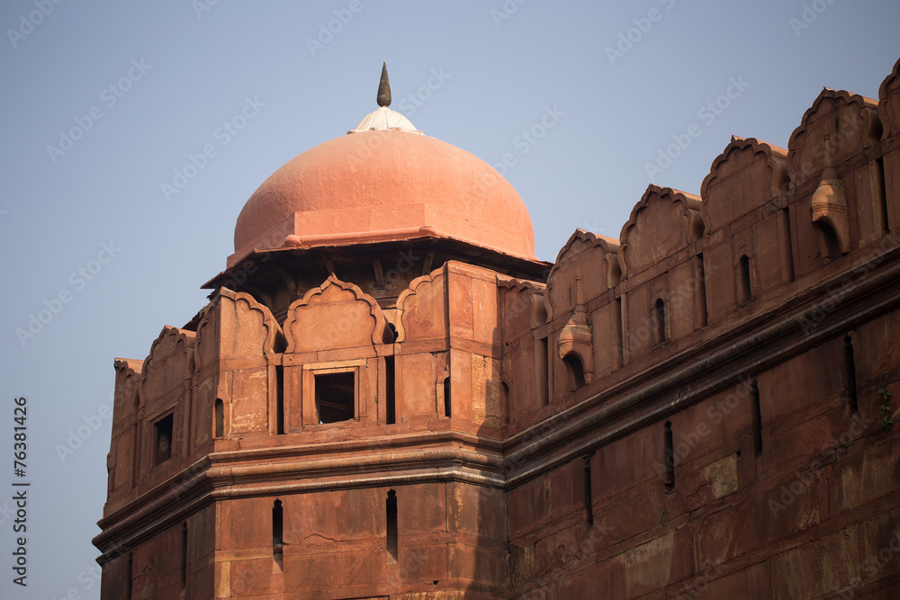 New Delhi fort wall close up