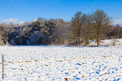 Winter landscape view fields forests covered snow