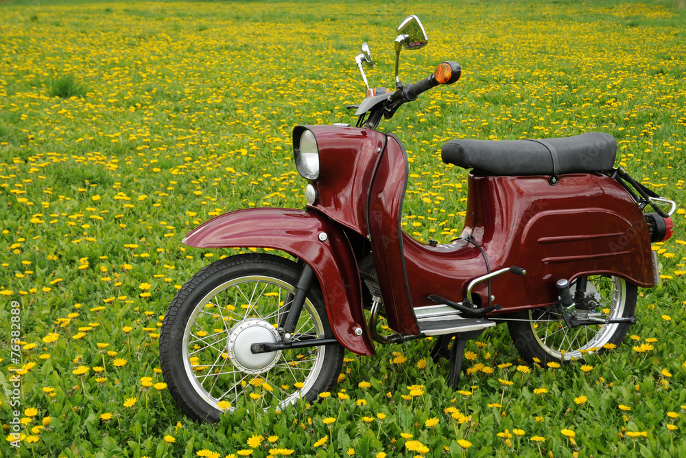 Obraz premium Moped Schwalbe
