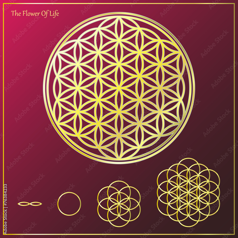 Obraz premium The Flower Of Life_1