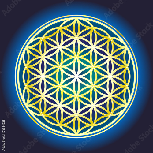 The Flower Of Life_2