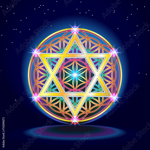The Flower Of Life_4