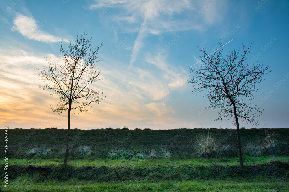 Obraz premium Countryside at sunrise