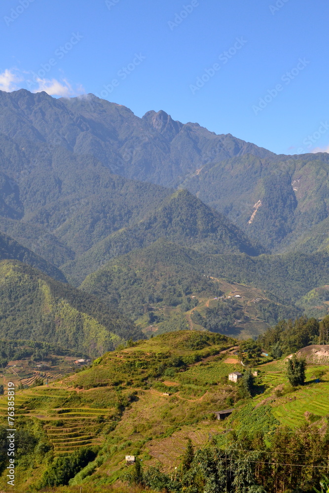 Fototapeta premium Fransipan, Sapa